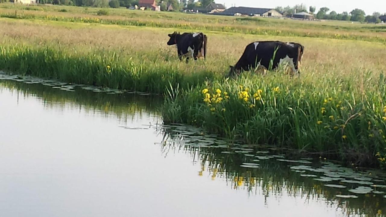 مبيت وإفطار Zegveld Het Kraaienbosch المظهر الخارجي الصورة