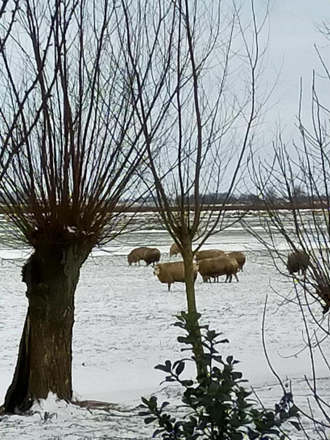 مبيت وإفطار Zegveld Het Kraaienbosch المظهر الخارجي الصورة